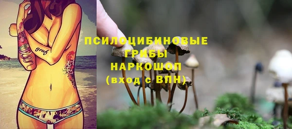соль ск Арсеньев