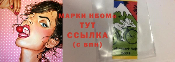 соль ск Арсеньев