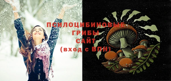 СК Аркадак