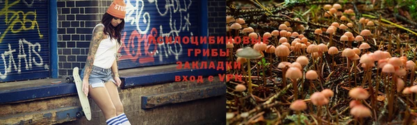 СК Аркадак