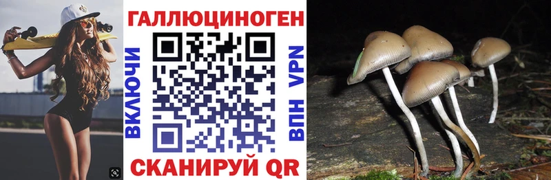 Псилоцибиновые грибы GOLDEN TEACHER  закладка  Теберда 
